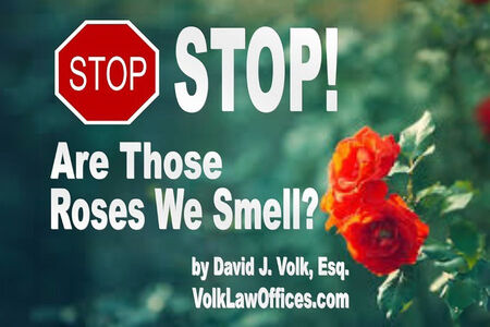 Stop! Are Those Roses We Smell?